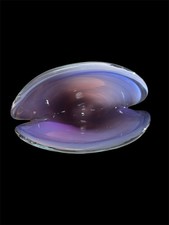 Murano glass 1970 archimede - murano,