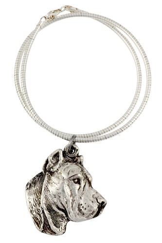 Presa canario cane dogo - cane,