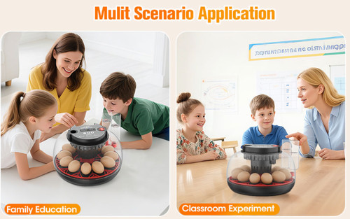 Incubators for eggs - for,