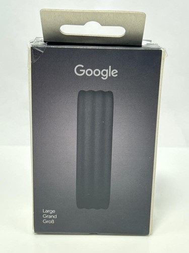 Google fitbit air fascia - air,
