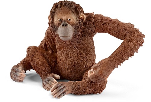 Schleich orango femmina 14775