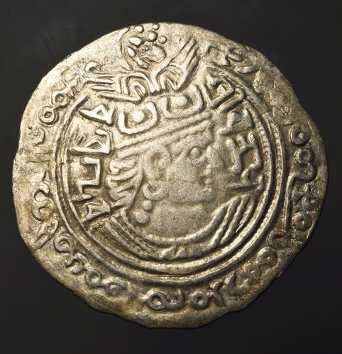 H23 shahi turchi - h23-38,