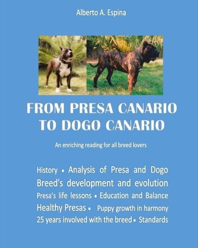 From presa canario - canario, dogo