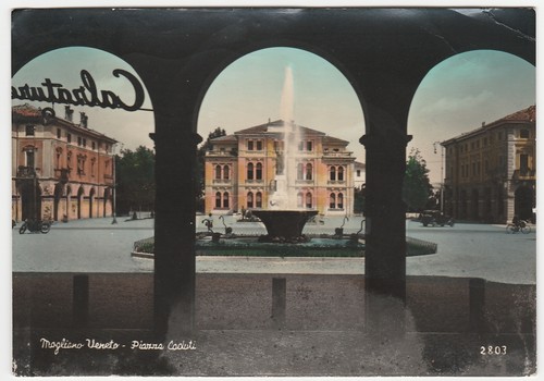 Mogliano veneto treviso - -,