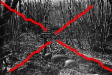 Negativo-Prouvais-Aisne-Franci