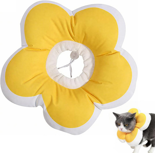 Collare elisabettiano gatto - elisabettiano,