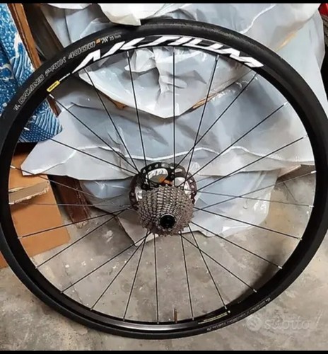 Ruota post bici - ruota, mavic