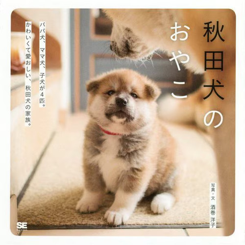 Akita inu oyako book - akita, no