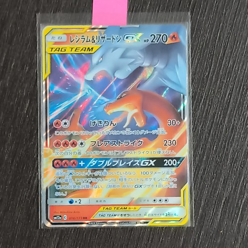 Pokémon reshiram charizard - pokémon,