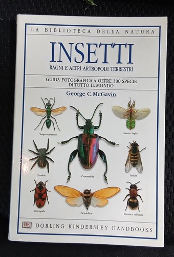 Insetti ragni altri artropodi