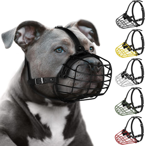 Pitbull museruola per - museruola, cani