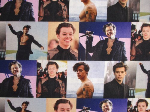 Harry styles musicista su - harry, styles,