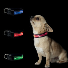 Collare per Cani Led Luminoso