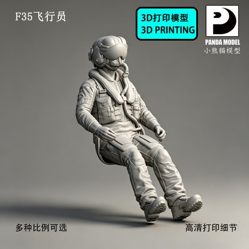1 72 f35 modello - 1/35,