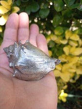 Conchiglia soprammobile