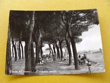 (FG.AK) PINETO - LA PINETA e LA SPIAGGIA animata (vg 1962, ed Camilletti) Teramo