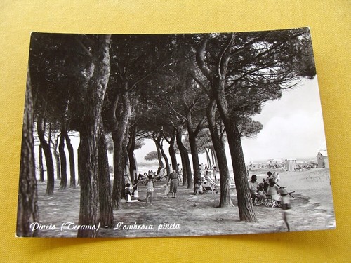 Pineto la pineta e - -,