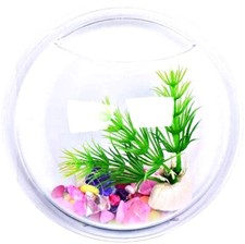 Acquario da muro da 9 cm pesci in vetro vaso design da parete piante K.24488