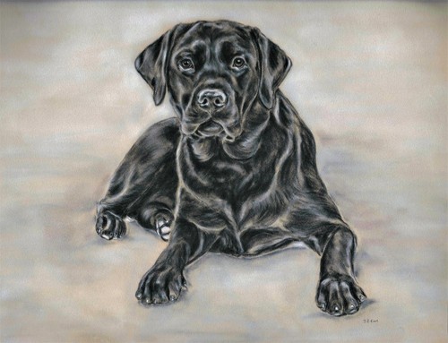 Quadro cane black - quadro,