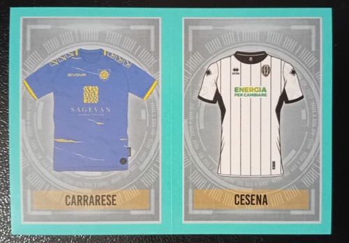 Figurina calciatori panini - figurina,