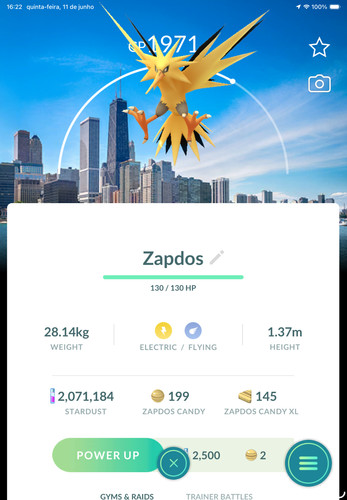 Zapdos chicago sfondo - zapdos, sfondo‎