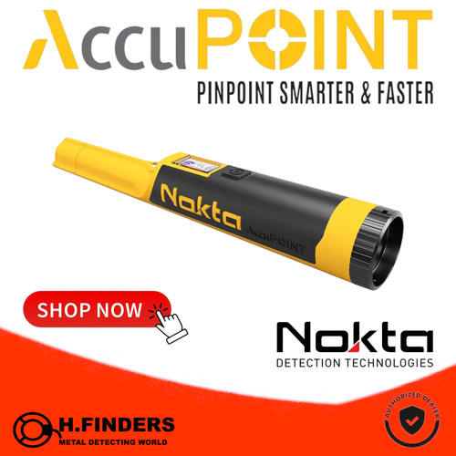 Puntatore nokta accupoint - puntatore,