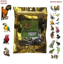 10mm plus neon orange parrots