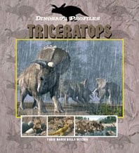 Triceratops dinosaur - triceratops, (dinosaur
