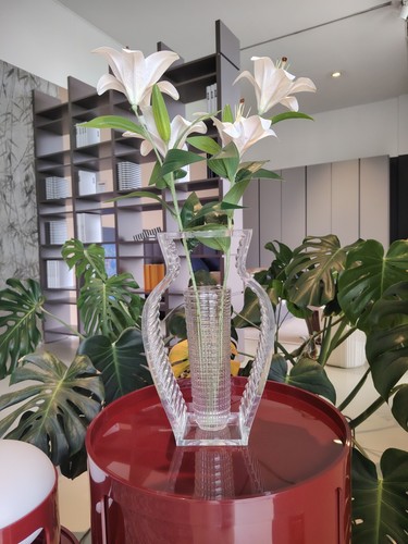 Vaso kartell modello shine - kartell, i