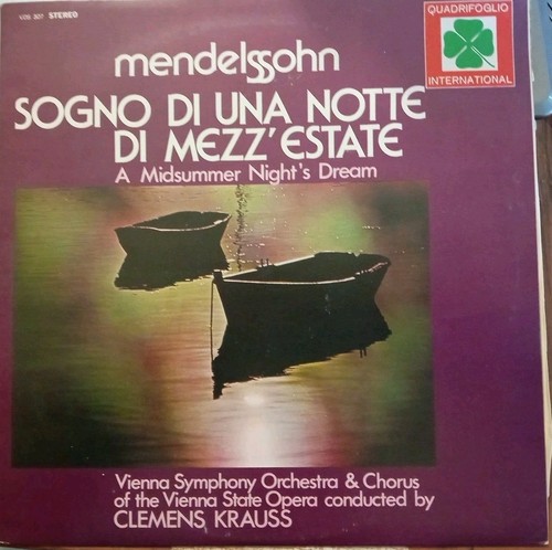 Disco vinile giri - disco,