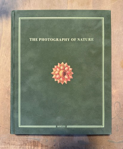 The photography nature - the, of