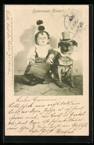 Bambino con cane che indossa