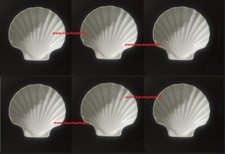 6 PIATTI CONCHIGLIA DM.12,5 X