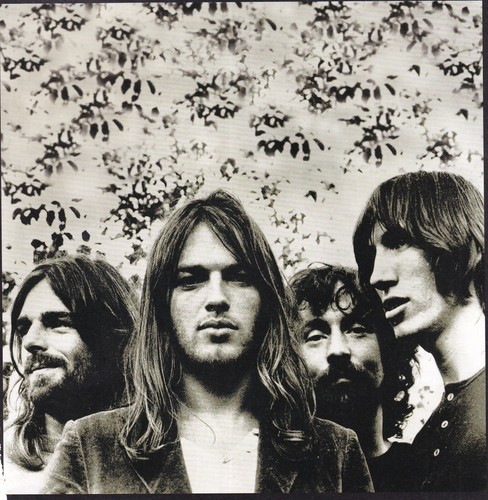 Pink floyd mini - pink,