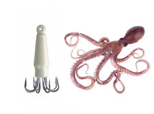 Polpara 150g Piombata