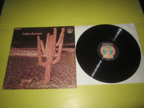 Indian summer - indian, summer-