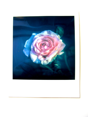 Araki polaroid originale - araki:,