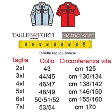 camicia uomo classica