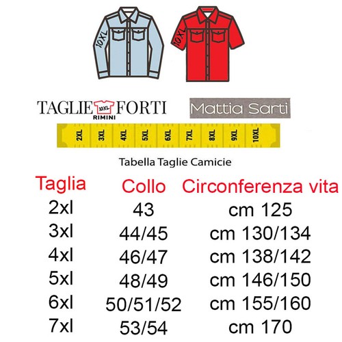 Camicia uomo classica - camicia,