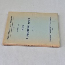 (Gorizio Viti) Guida a i