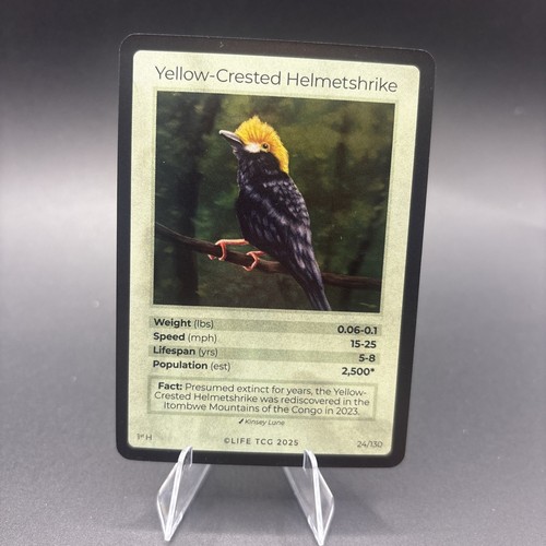 Life tcg holo elmetto - life,