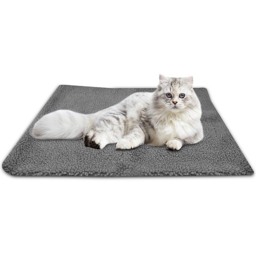 Cuccia grigia coperta - cuccia,