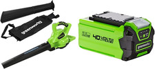Greenworks GD40BV Aspiratore