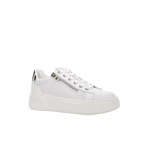Scarpe donna lumberjack - scarpe,