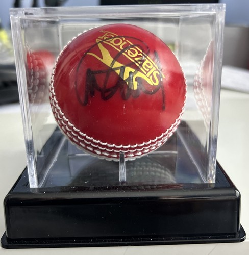 Palla cricket firmata a - palla,