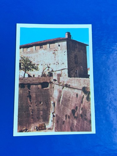 Panini italia patria - italia,