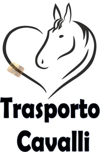Adesivo auto trasporto - auto, cavalli
