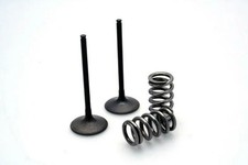 Kit Valvole Aspirazione PROX