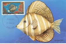 Scheda Massimo #23481 Wallis e Futuna Mata Utu 1993 Pesce Zebrasoma