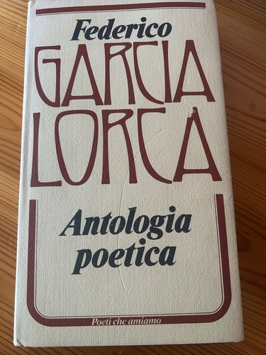 Libro vintage antologia - libro,